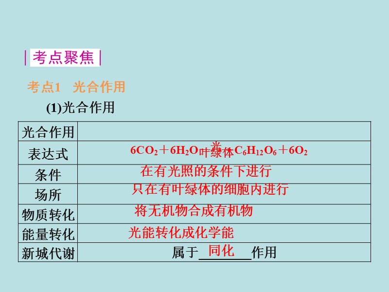 浙江省绍兴市中考科学一轮复习第5课时《绿色植物的新城代谢》课件浙教版.ppt_第2页