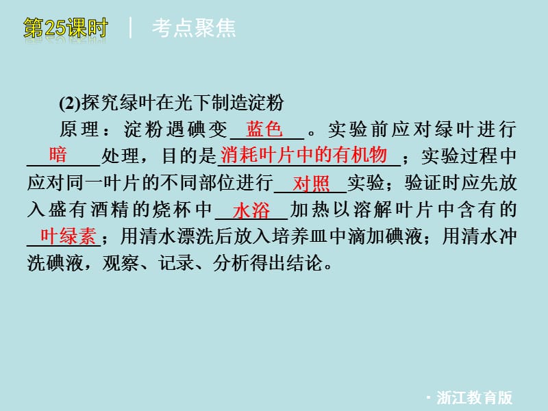 浙江省绍兴市中考科学一轮复习第5课时《绿色植物的新城代谢》课件浙教版.ppt_第3页