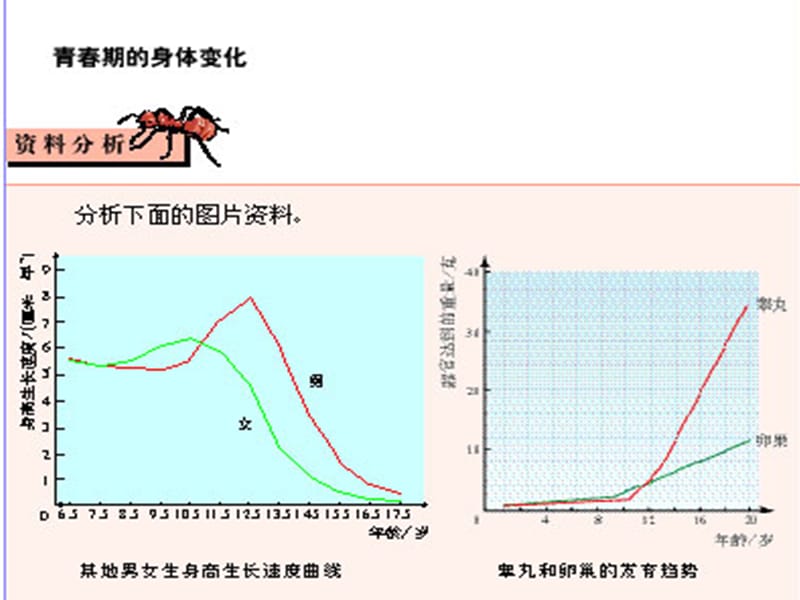 七年级生物第一章第三节课件.ppt_第3页