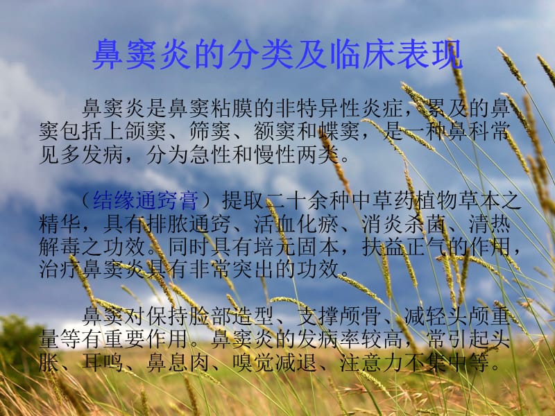 鼻窦炎的分类及护理.ppt_第2页