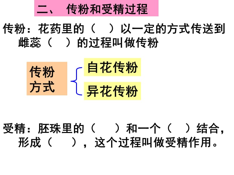 七年级上生物重点复习.ppt_第3页