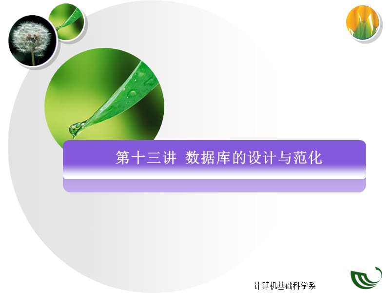 第十三讲 数据库的设计与范化.ppt_第2页