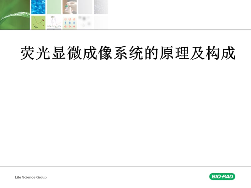 荧光显微成像系统的原理及构成.ppt_第1页