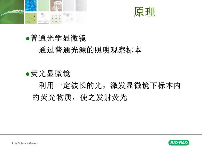 荧光显微成像系统的原理及构成.ppt_第2页