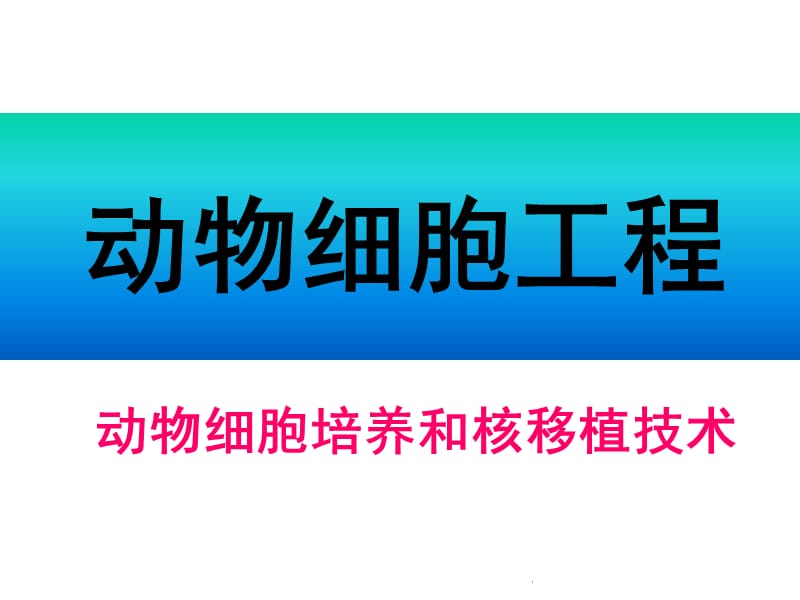 (动物细胞工程2).ppt_第1页