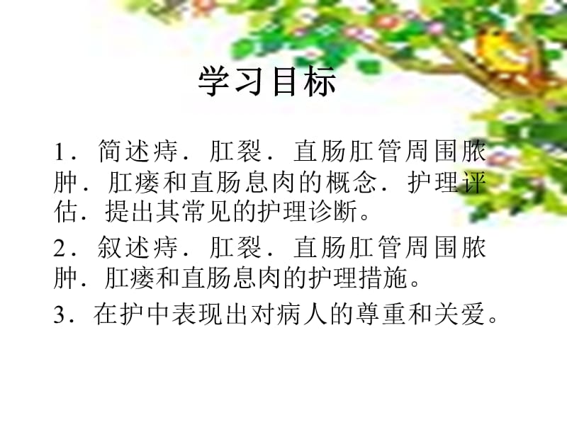 直肠肛管良性疾病的护理.ppt_第2页