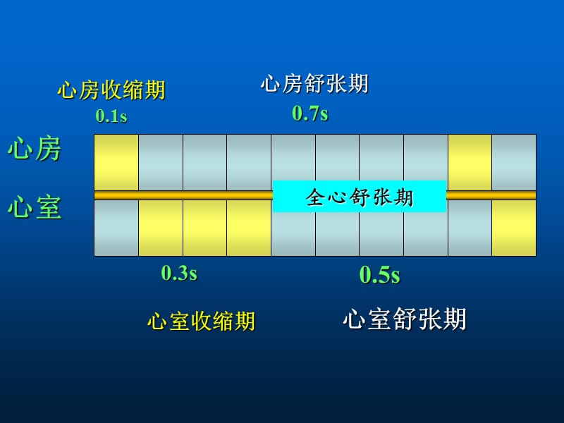 第六章循环系统二.ppt_第3页