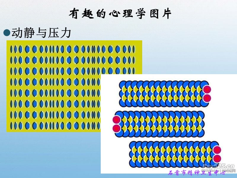 走进心理学、走进我们自己.ppt_第3页