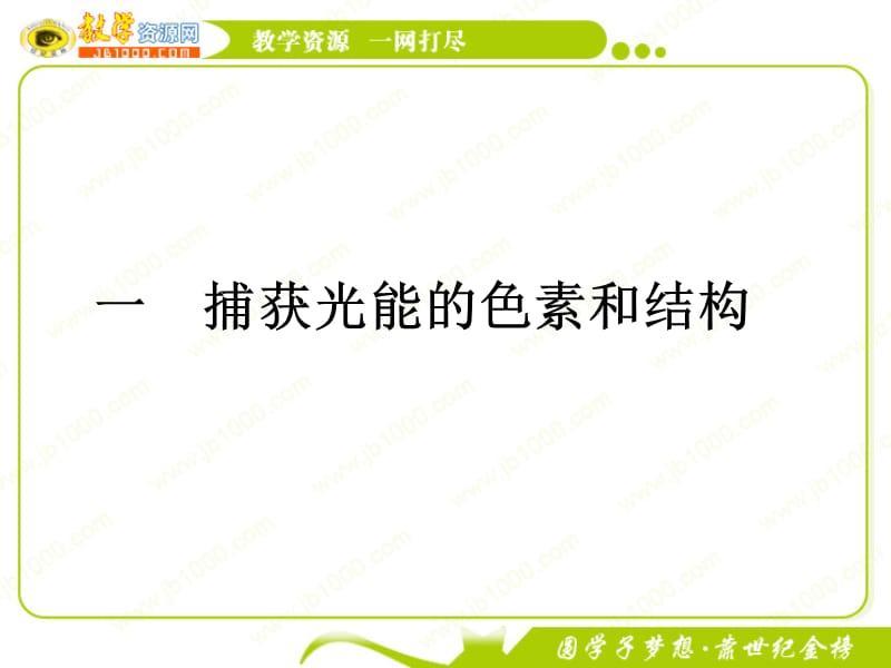 11-12学年高一生物必修1(新人教版)同步课件：5.4.1捕获光能的色素和结构.ppt_第2页