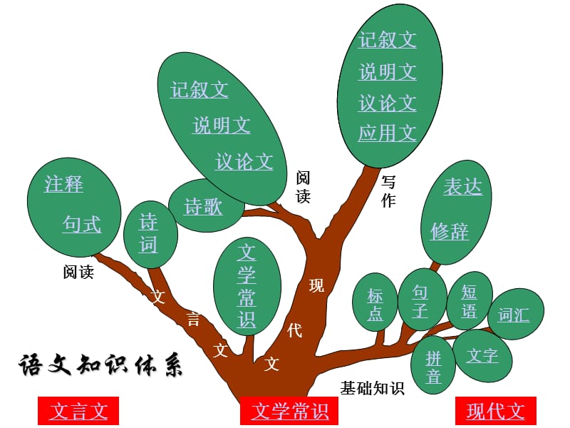 语文知识树(学习语文的基础知识).ppt_第3页