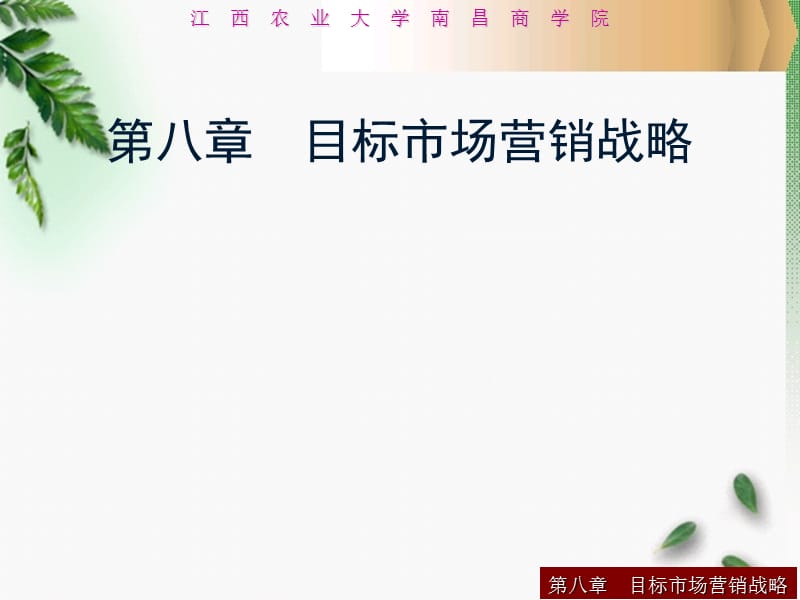 第八章目标市场营销战略.ppt_第1页