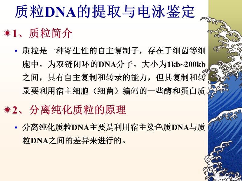 浙江大学生物化学实验甲质粒DNA的小批量提取与鉴定.ppt_第1页