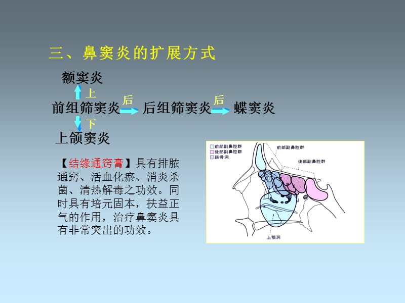 鼻窦炎的食疗验方.ppt_第3页