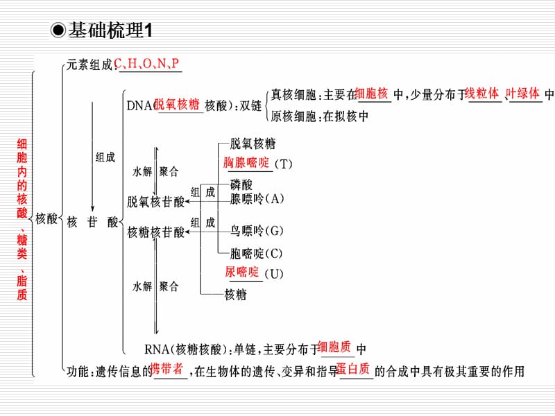 必修1第一单元4核酸、糖类与脂质.ppt_第2页