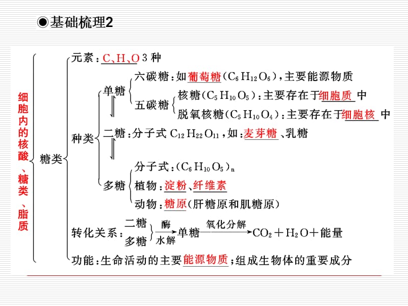 必修1第一单元4核酸、糖类与脂质.ppt_第3页