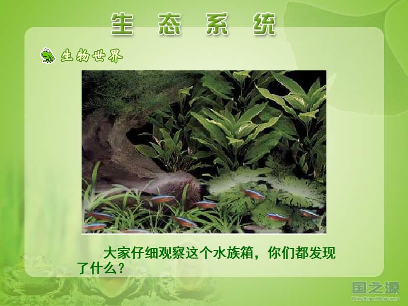 七年级生物上册-pps6.ppt_第2页