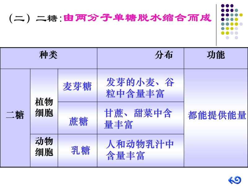 必修一糖和脂类课件.ppt_第3页