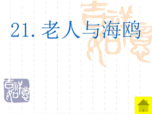 21.老人与海鸥ppt.ppt