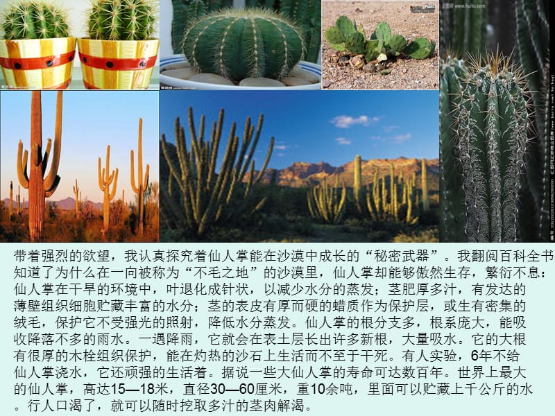 植物的种植方法PPt.ppt_第3页