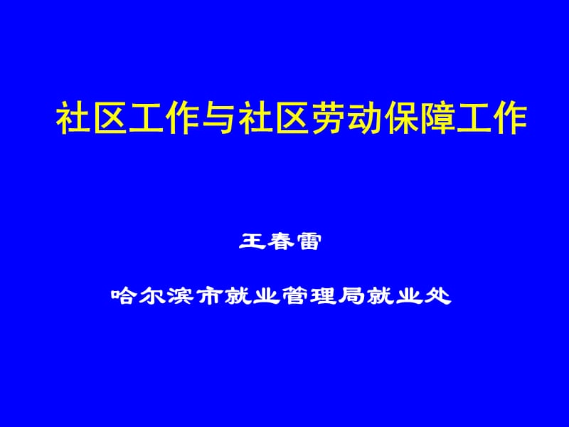 2010基层劳动保障工作平台建设(大学生培训课件).ppt_第1页