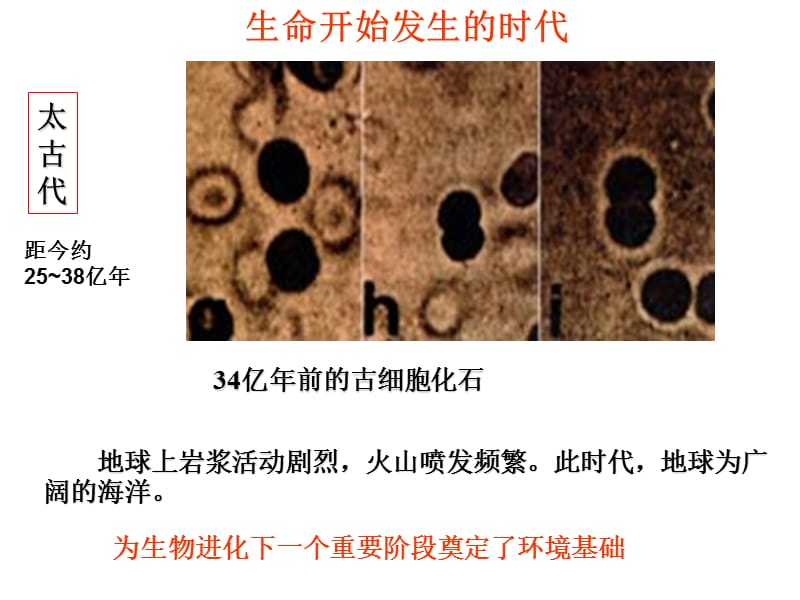 自然地理环境要素变化和环境变迁.ppt_第3页