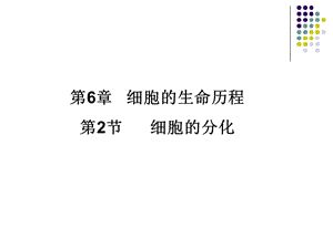 细胞分化.ppt