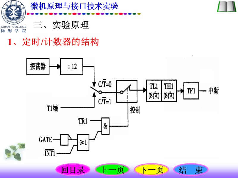 实验六单片机定时计数器实验.ppt_第3页