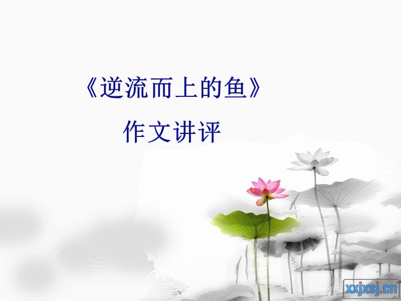 《逆流而上的鱼》作文讲评.ppt_第1页