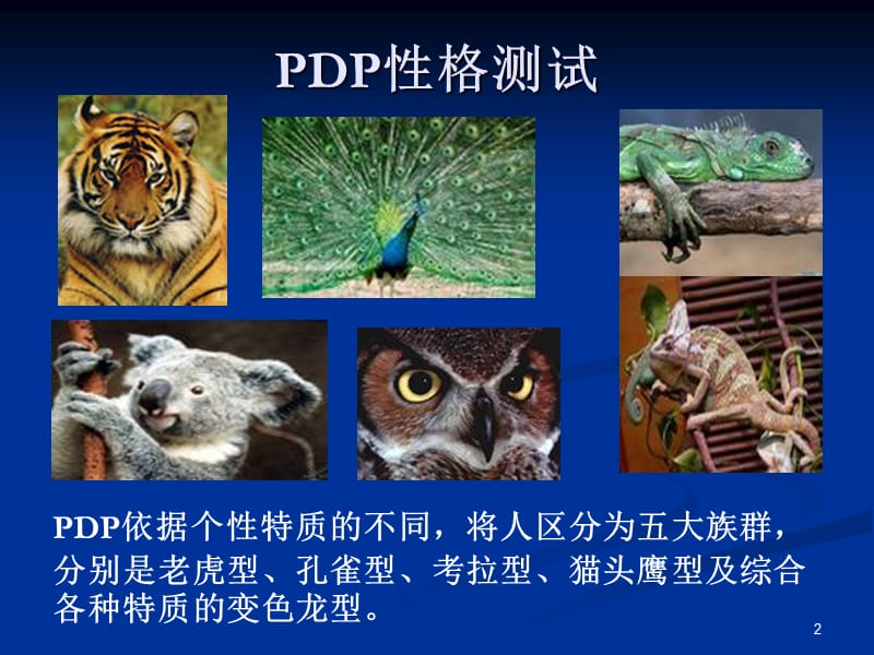 PDP性格测试(老虎、考拉、孔雀、猫头鹰、变色龙).ppt_第2页