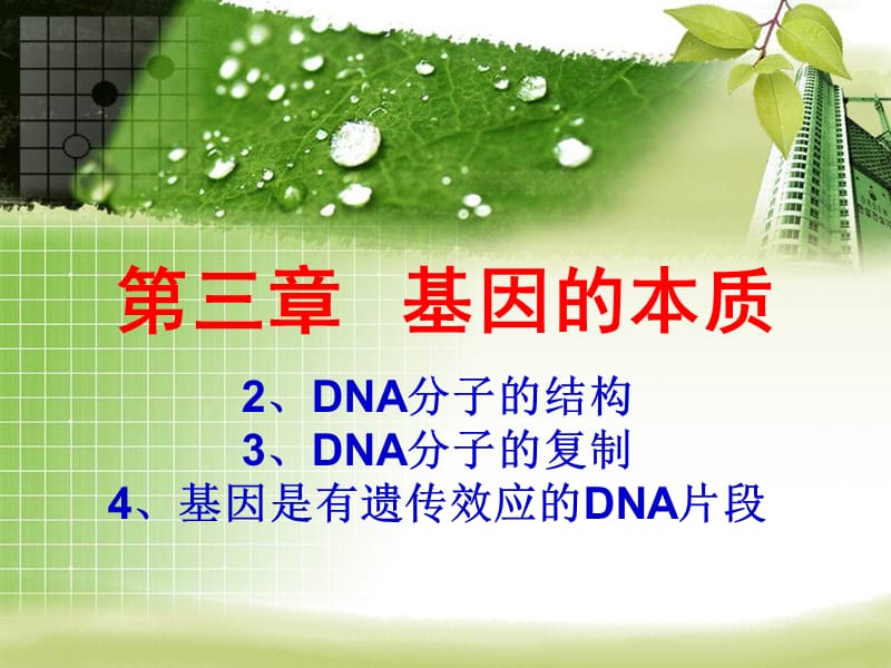 DNA分子的结构DNA分子的复制基因是有遗传效应的DNA片段.ppt_第1页