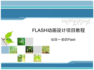 Flash动画设计项目教程(项目一初识Flash).ppt