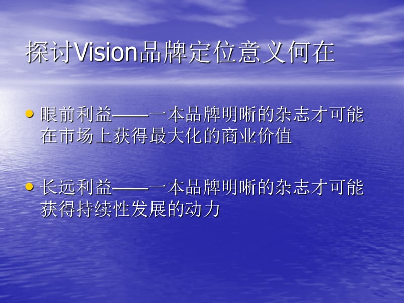 Vision的品牌定位及其价值.ppt_第3页