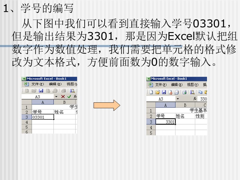 第七章使用EXCEL制作学生基本信息表.ppt_第3页