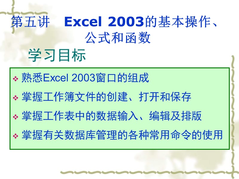 第五讲Excel2003的基本操作、公式和函数.ppt_第2页