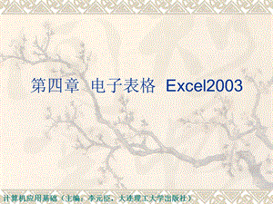 第4章电子表格Excel2003.ppt