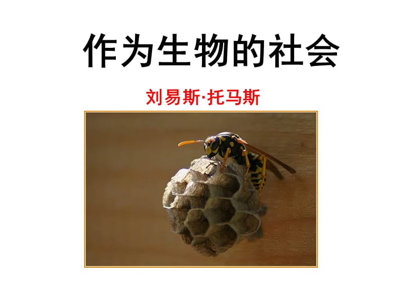 作为生物的社会课件手机版.ppt_第1页