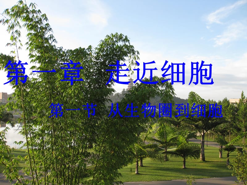 人教版教学课件云南省弥勒县庆来中学2011-2012学年高一生物1.1从生物圈到细胞(课件).ppt_第1页