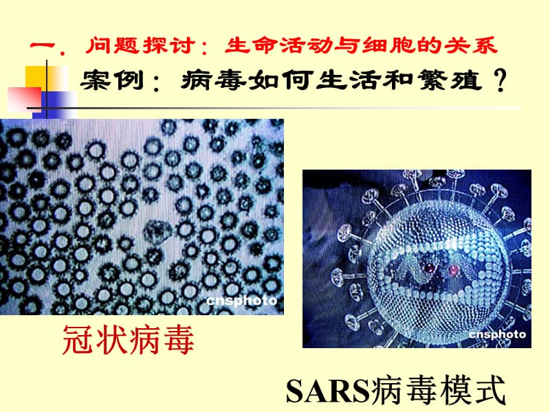 人教版教学课件云南省弥勒县庆来中学2011-2012学年高一生物1.1从生物圈到细胞(课件).ppt_第3页