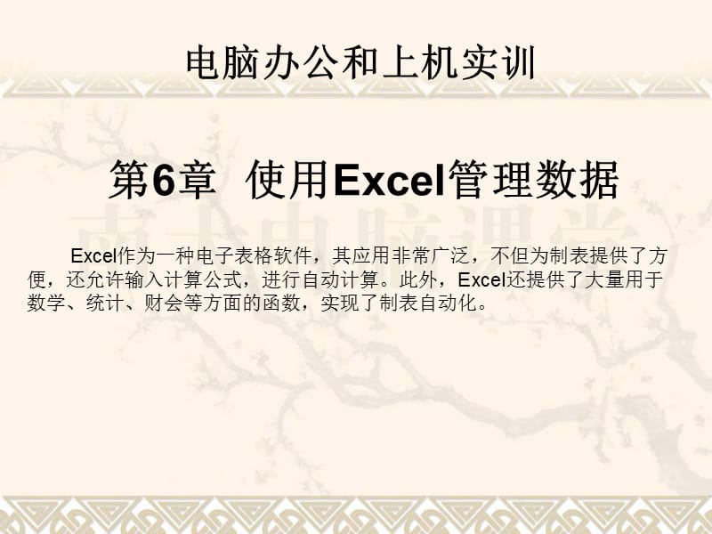 第06章使用Excel管理数据.ppt_第1页