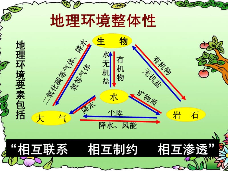 5.1《自然地理环境的整体性》课件3.ppt_第3页