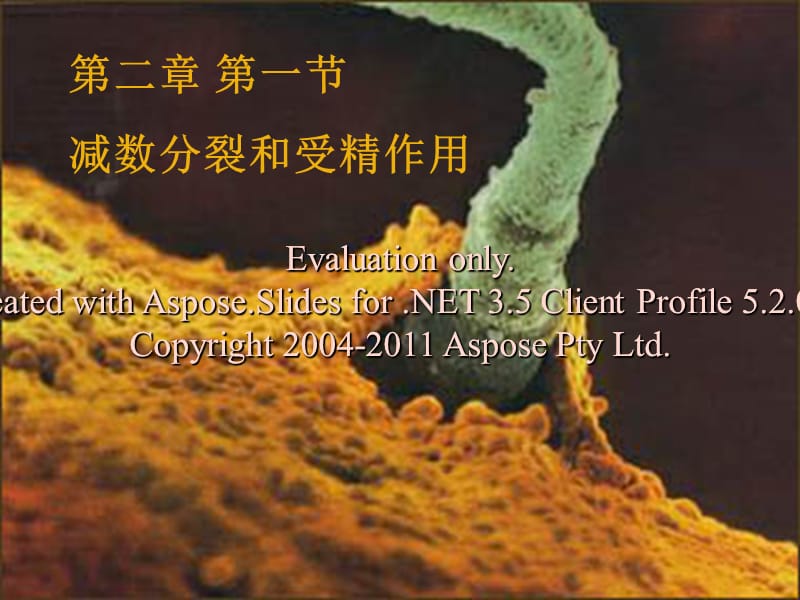 高一生物必修减数分裂和受精作用.ppt_第1页