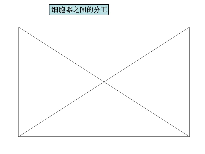 人教版教学课件云南省弥勒县庆来中学2011-2012学年高一生物细胞器—系统内的分工合作(课件).ppt_第2页