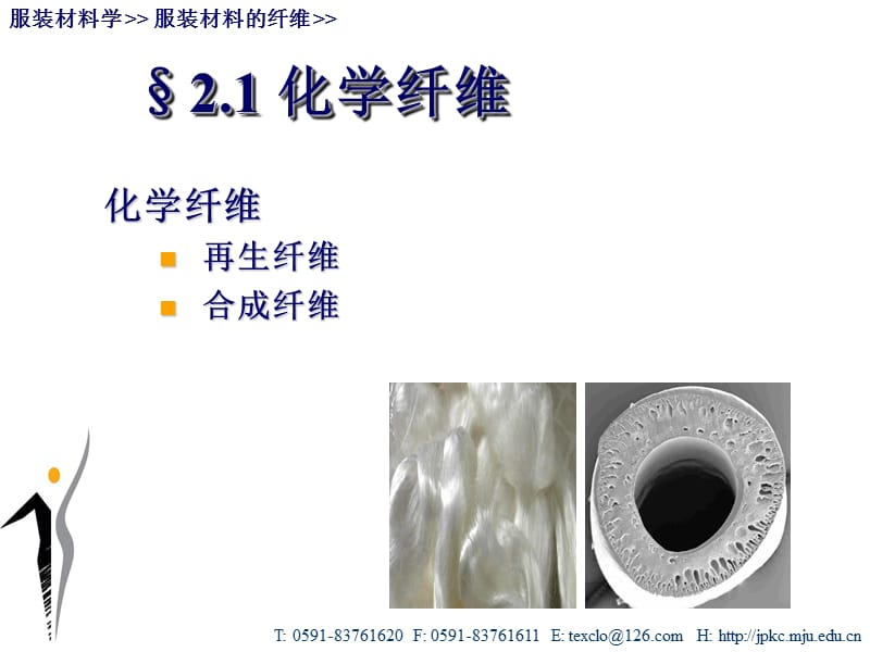 服装材料学陈东生化学纤维、纤维结构.ppt_第2页