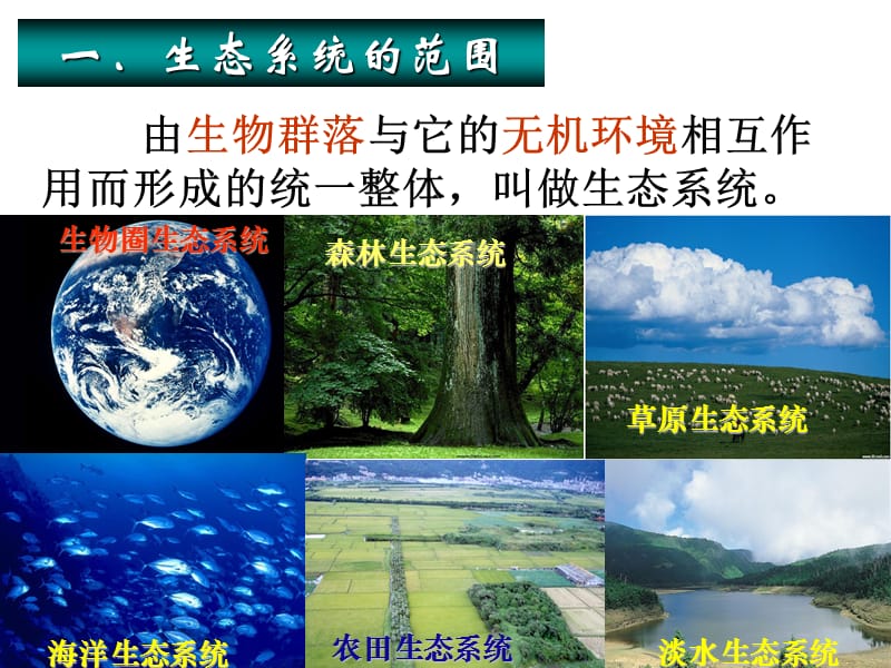 新《生态系统的结构》教学课件.ppt_第3页