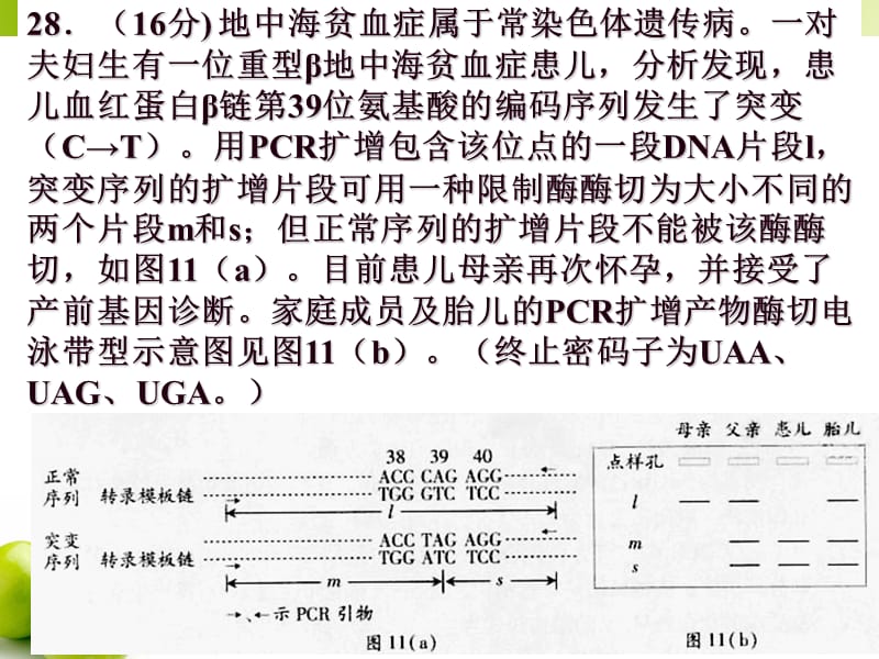 2013年高考第28题试题分析.ppt_第3页