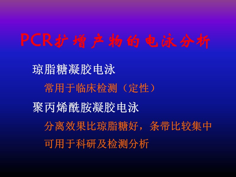 PCR扩增产物的分析.ppt_第2页