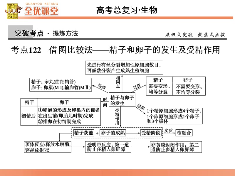 全优课堂·2016高考生物一轮配套课件：10.39胚胎工程.ppt_第2页