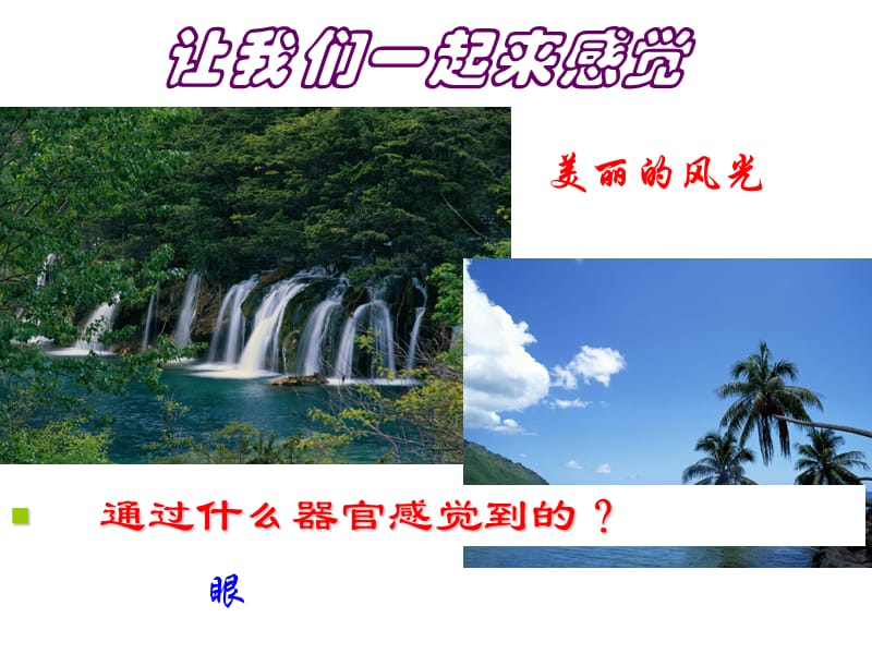 新浙教版七下科学1.1感觉世界.ppt_第2页