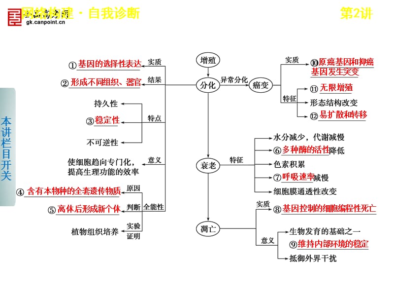 步步高2013届高考生物二轮课件：3-2细胞的分化、衰老、凋亡和癌变.ppt_第3页