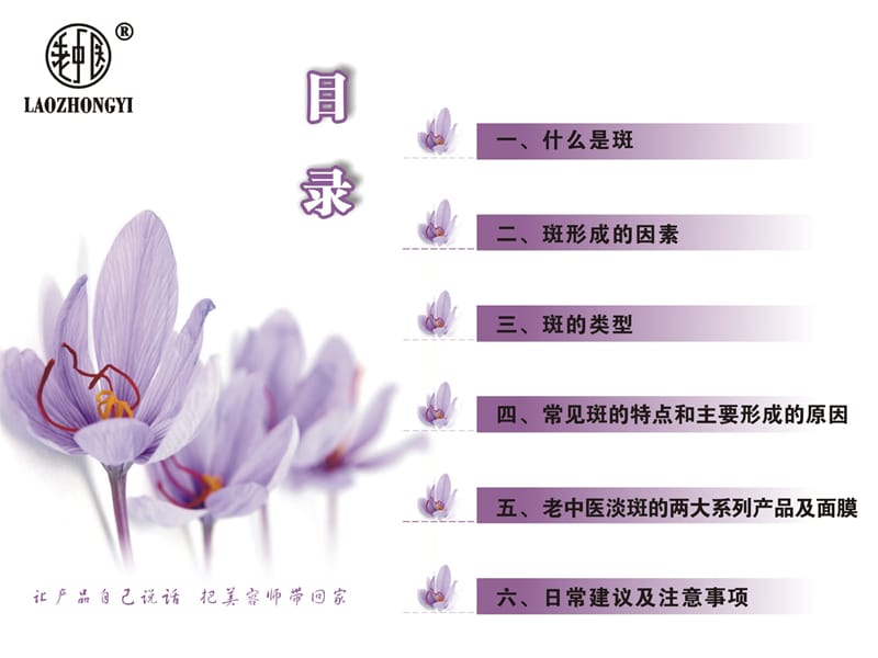 斑的介绍.ppt_第2页